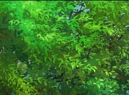 中国人哪个血型最多