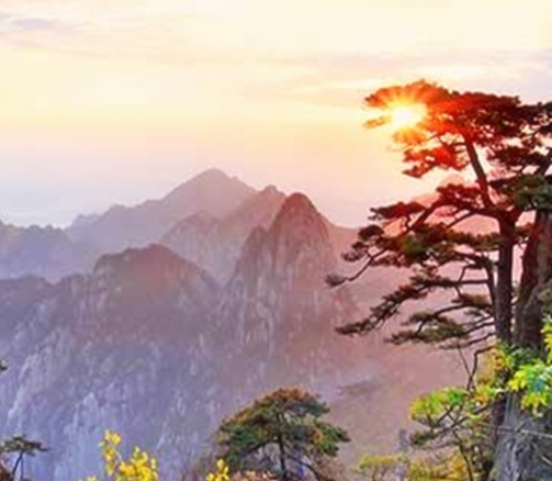 计算机项目符号在哪里