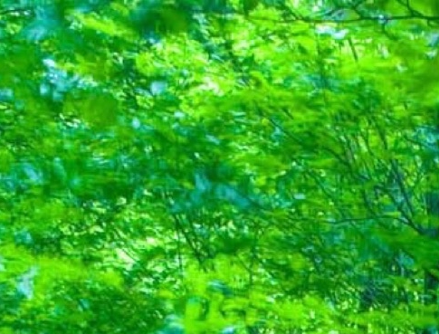 湿疹是什么原因造成的涂什么药
