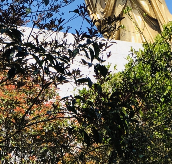 福州私立学校排行榜
