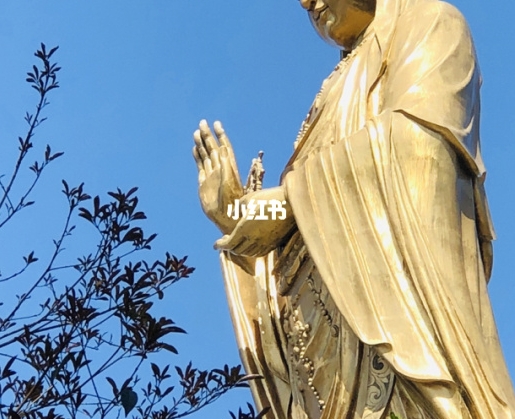 怎么认错能让对方原谅