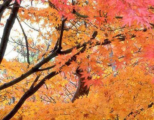 空调如何定时开关机