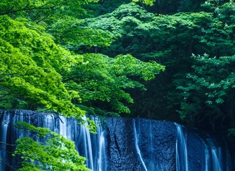私立华联学院宿舍