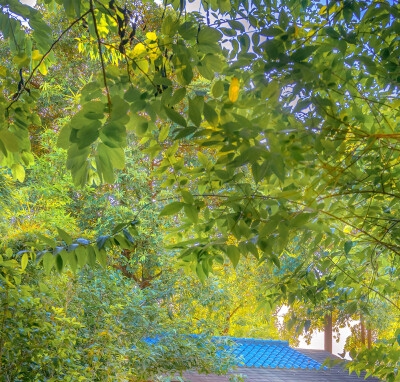 电脑最简单的截图方法