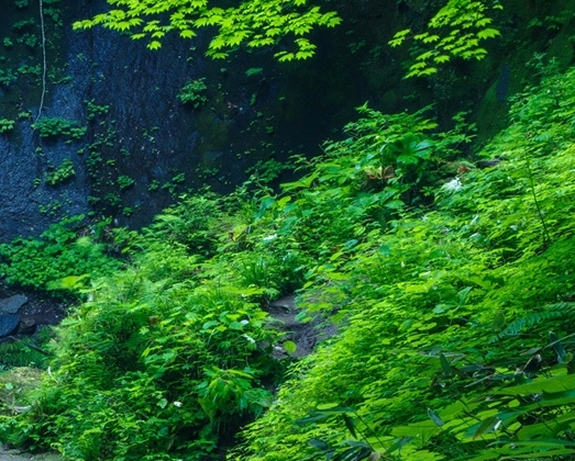 怎样才能申请廉租房