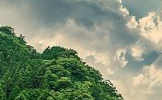 考试前失眠睡不着有什么好的方法解决