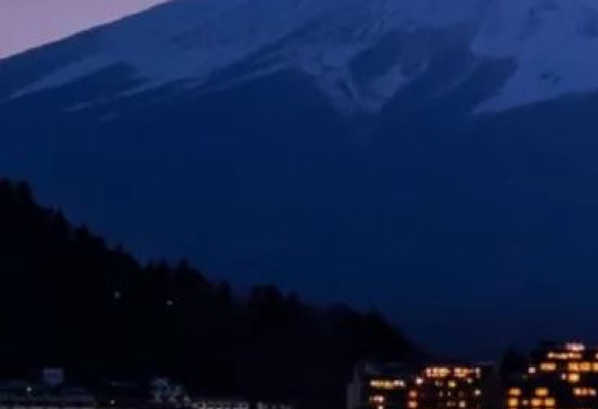 五险一金在哪里交