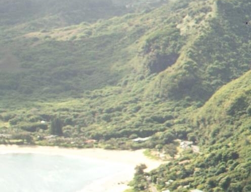 迷你世界已死去的主播