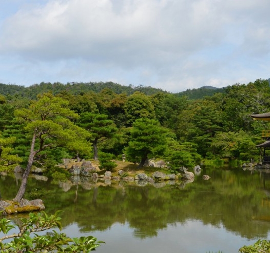 副卡如何注册抖音号