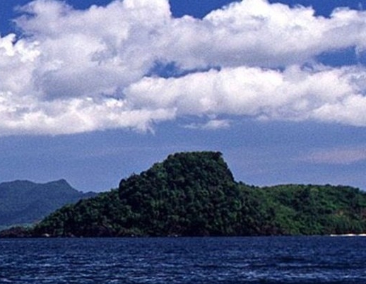 风景怎么写