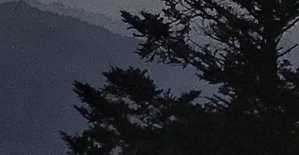 计算机应用技术是学什么的