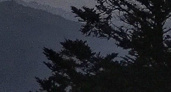 松木和榉木哪个好